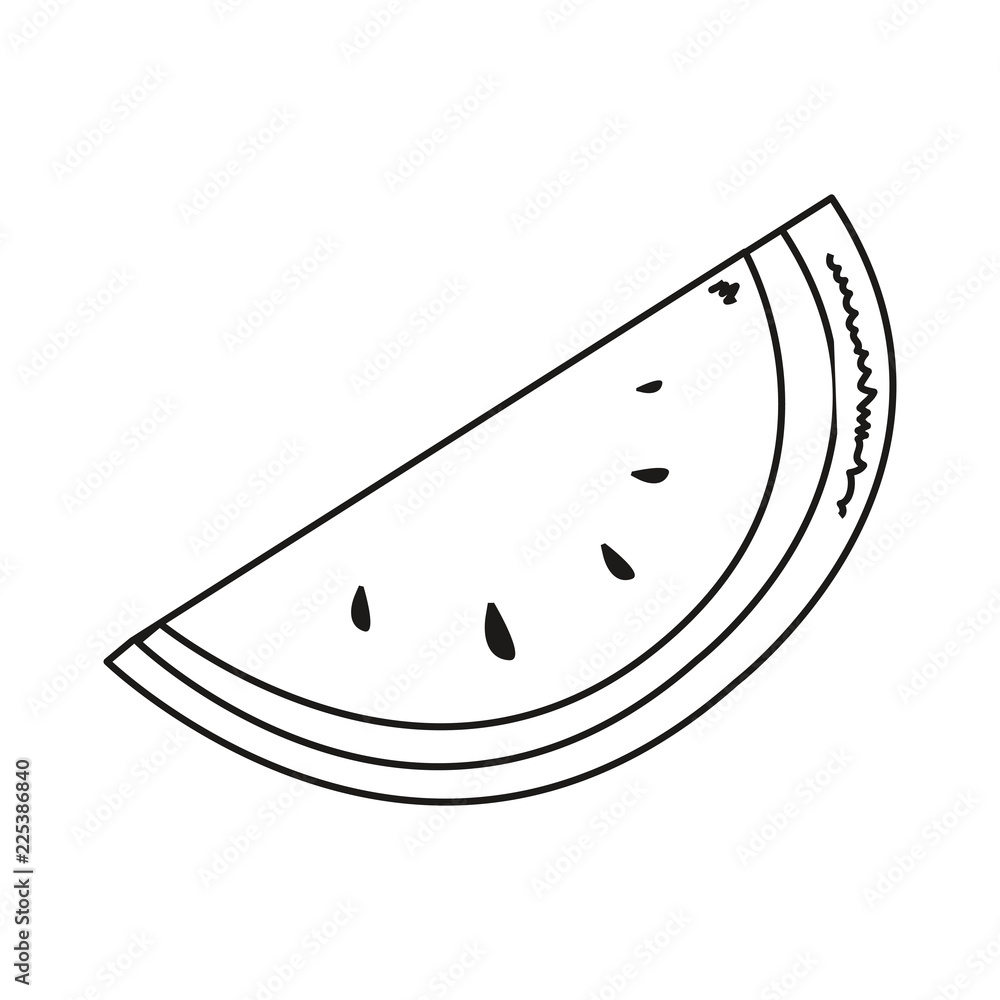 tropical fruit watermelon isolated design tropical fruit watermelon isolated design