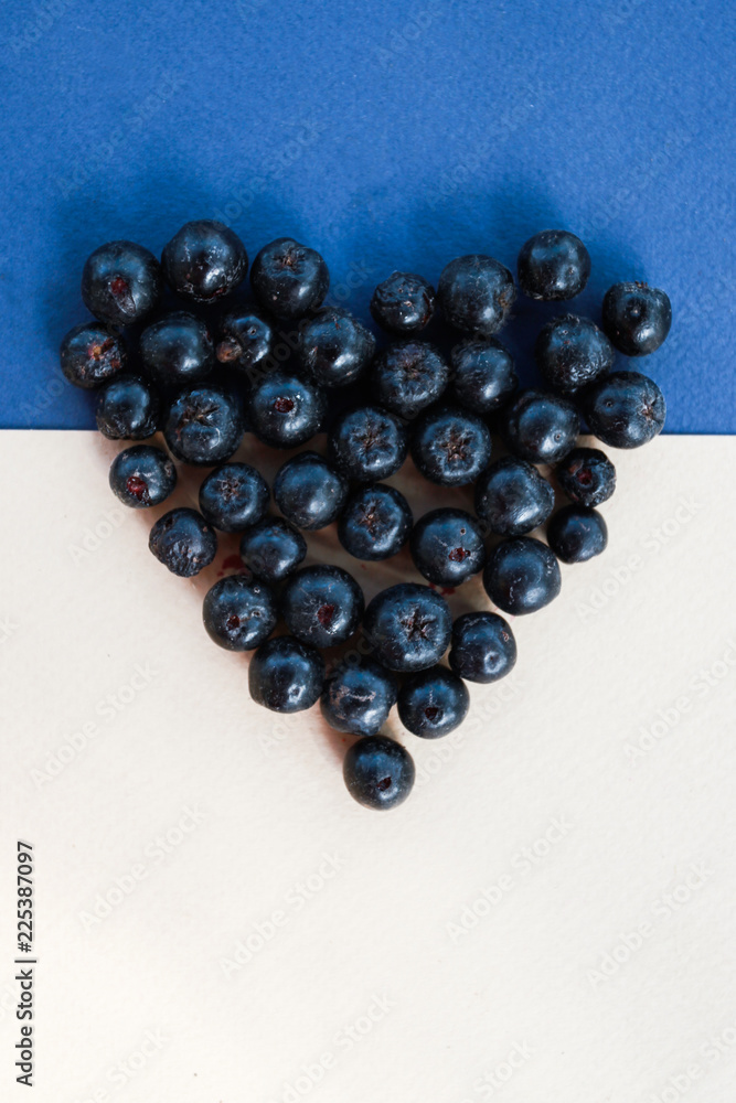 black berries on white and blue background black berries on white and blue background