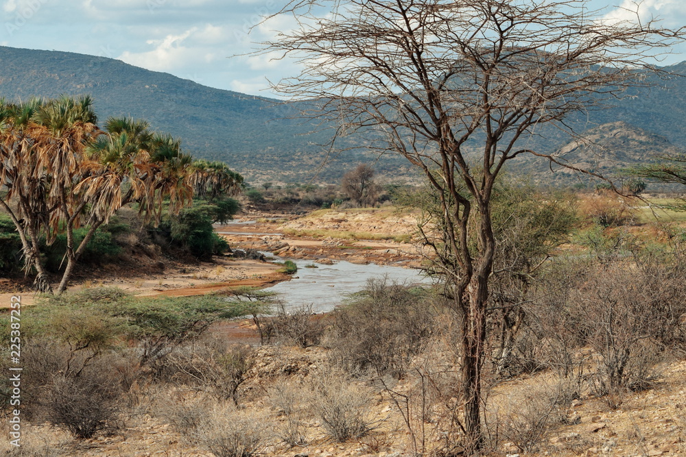 Fototapeta premium River against an arid background, Ewaso Nyiro River in Samburu, Kenya