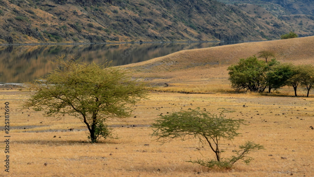 The arid landscapes of Lake Magadi, Rift Valley, Kenya The arid landscapes of Lake Magadi, Rift Valley, Kenya