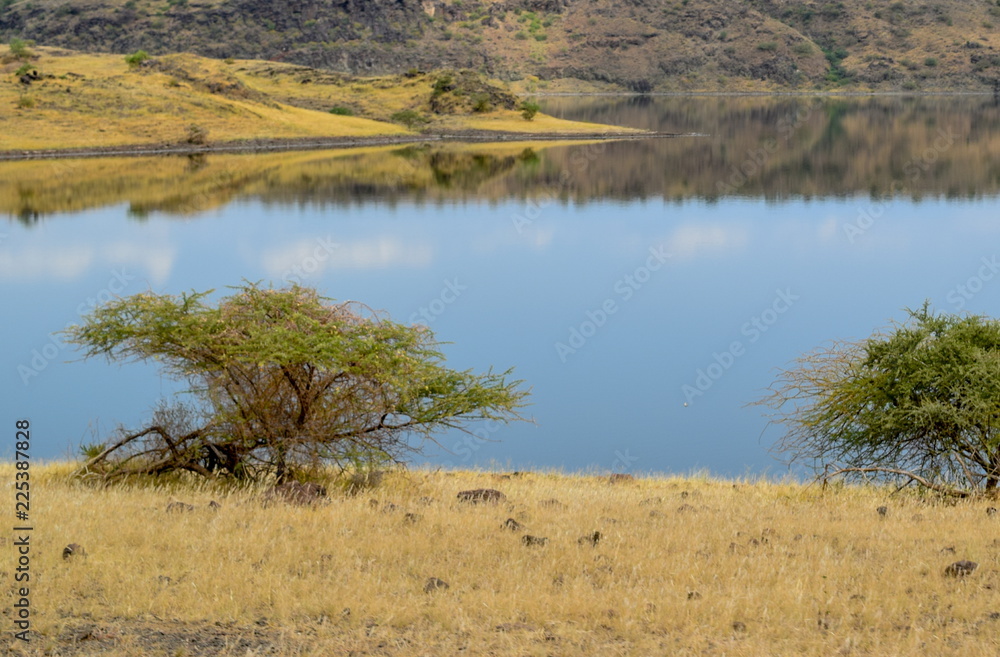 The arid landscapes of Lake Magadi, Rift Valley, Kenya The arid landscapes of Lake Magadi, Rift Valley, Kenya