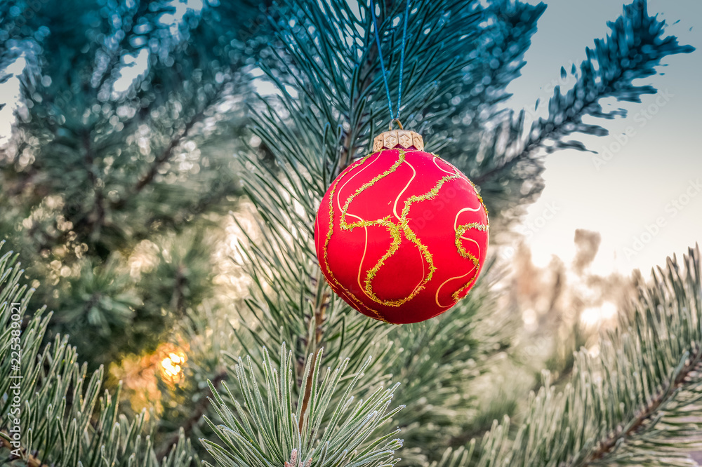 The branches of Christmas trees, toy The branches of Christmas trees, toy