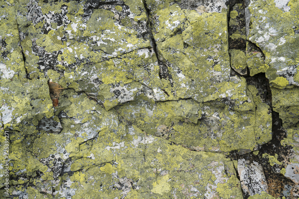 Obraz premium Green rock structure