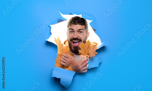 Happy bearded man with bouquet autumn leaves through hole in blue paper. Fallen leafs. Autumn cold weather concept. Autumn mood. Advertisement concept. Discount  autumn sale  season sales.Black friday