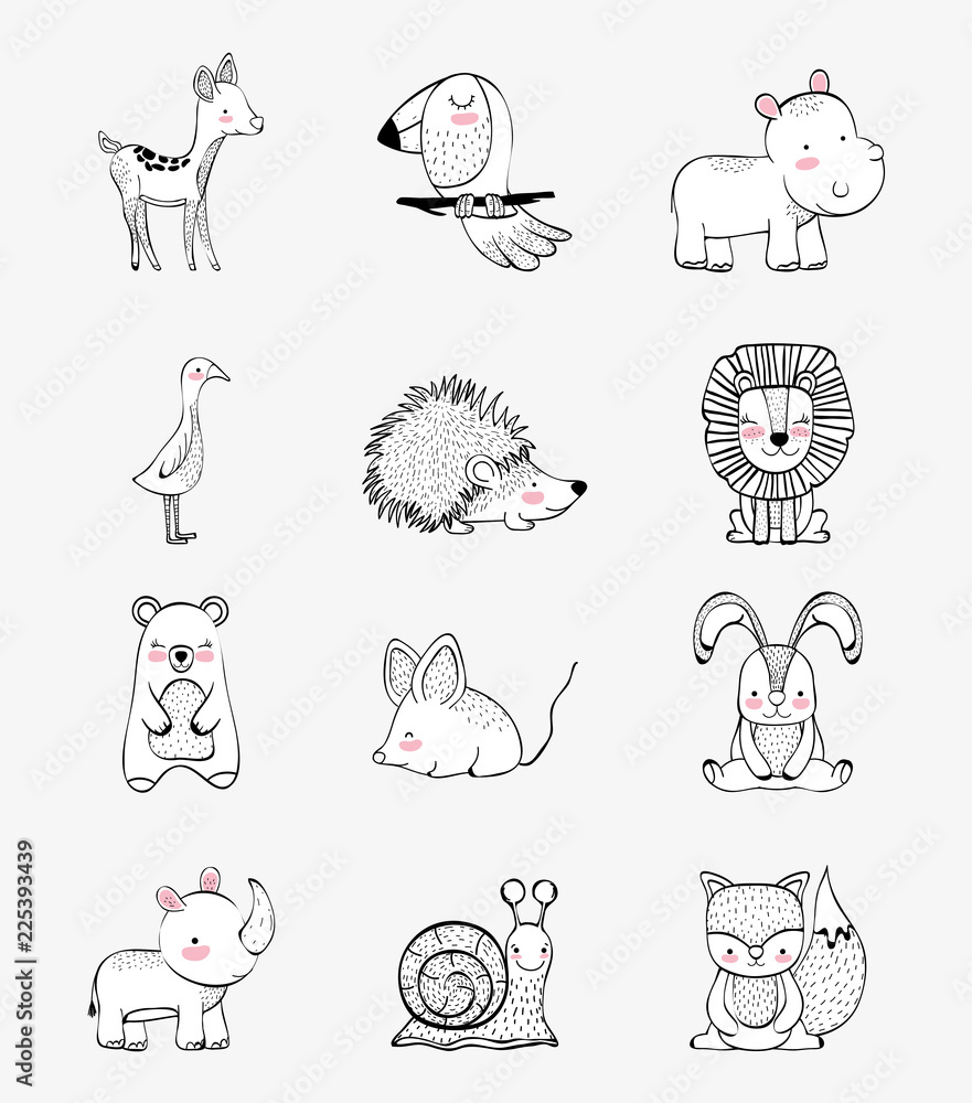 set cute wild animals character Stock Vector | Adobe Stock set cute wild animals character Stock Vector | Adobe Stock