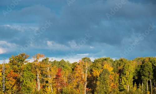 Dark sky and clouds background with side lit trees in autumn
