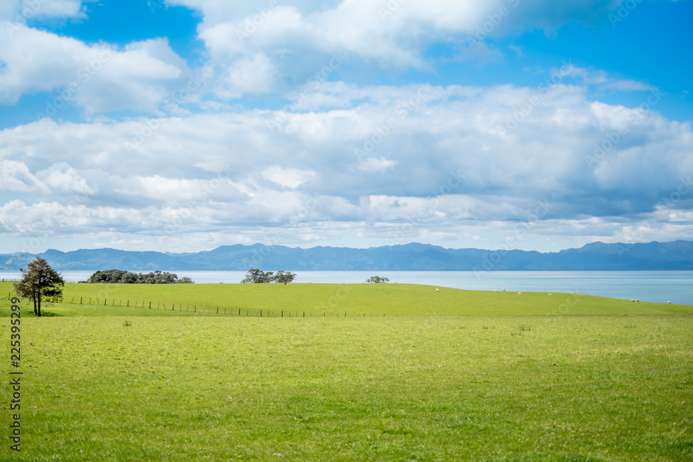 Green pastures overlooking the ocean and the coromandel peninsula