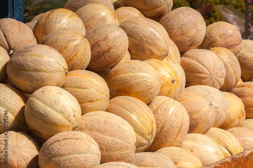 Fényképezés plie of Canteloupe melon fruit (Cucumis melo)