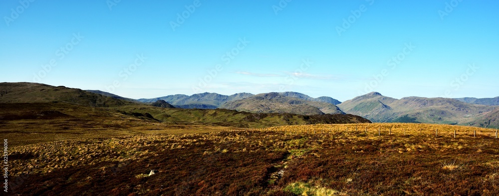 the heather on Middle Crag