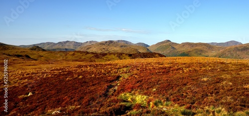 the heather on Middle Crag