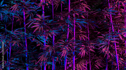 Tropical palm bambusa leaves in vibrant bold gradient holographic neon colors. Concept art. Minimal surrealism background photo