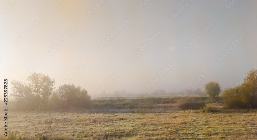 Field during the morning in the autumn season Field during the morning in the autumn season
