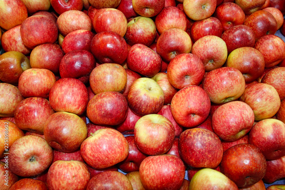Texture and background of colorful apples. Texture and background of colorful apples.