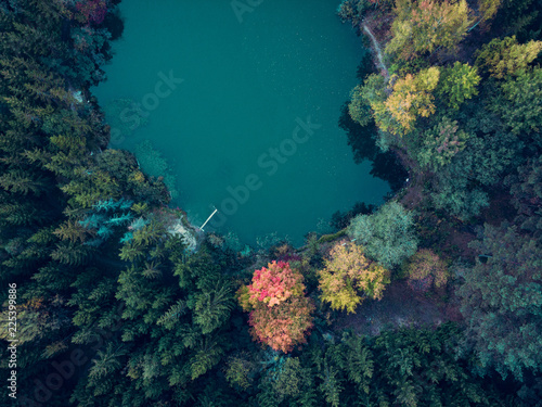 Aerial view of a lake surrounded by colorful trees in the forest at autumn