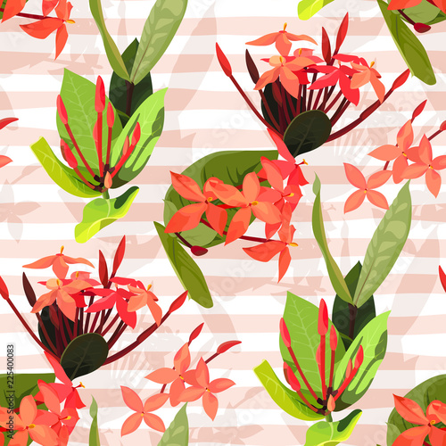 Ixora flowers ector seamless pattern. Flowered texture on a pink stripes backgrounds