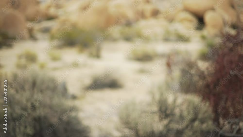 A medium close-up of shrubs near the foot of a mesa for green screen or chroma key. Out of focus or defocused shot for compositing or keying. A medium close-up of shrubs near the foot of a mesa for green screen or chroma key. Out of focus or defocused shot for compositing or keying.