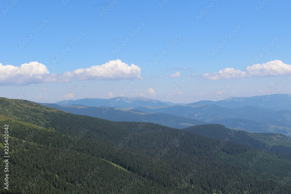 Obraz premium Svydovets in Carpathian Mountains