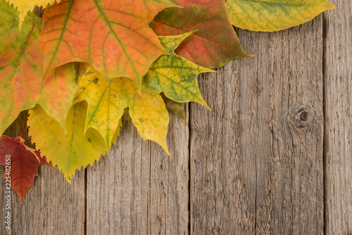 Autumn Leaves over wooden background 