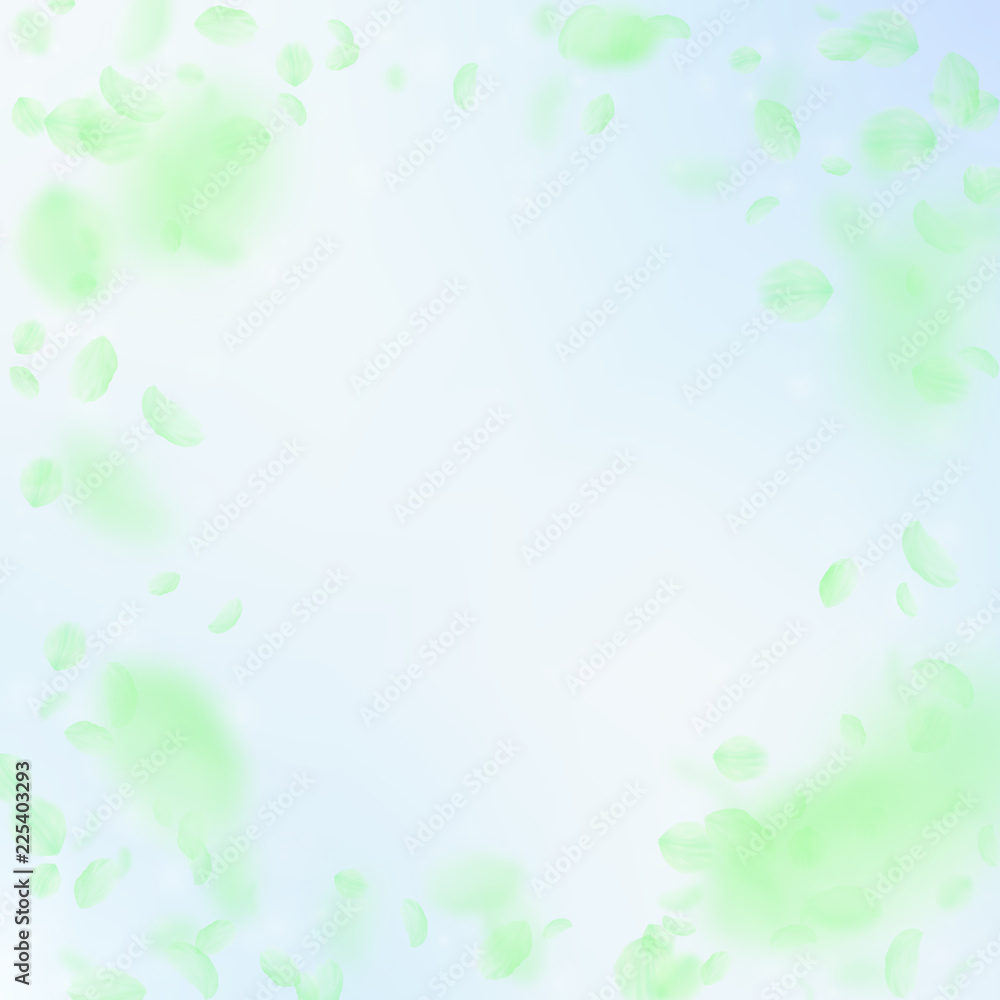 Green flower petals falling down. Majestic romantic flowers vignette. Flying petal on blue sky squar Green flower petals falling down. Majestic romantic flowers vignette. Flying petal on blue sky squar