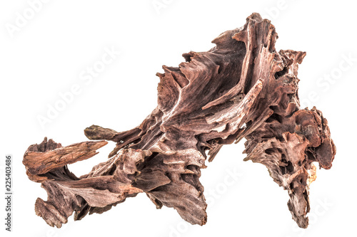 dry snag of a coniferous tree, old weathered relief wood isolated on a white background