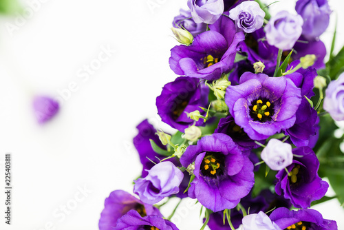 Beautiful Bouquet of Purple Eustoma flowers, Lisianthus