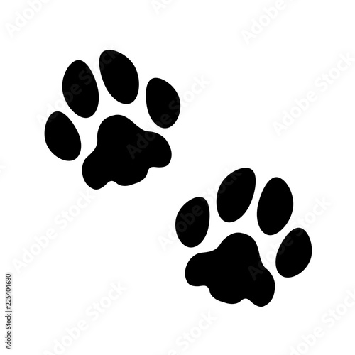 Vektor Pfoten Hund/Katze