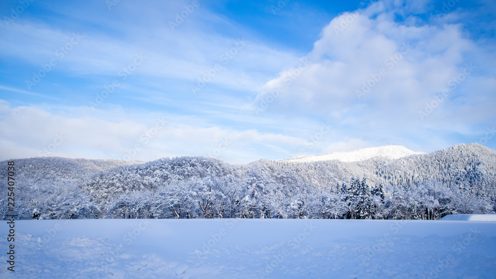 Dreamlike winter wonderland scenic in Tohoku, Japan. Bright blue sky, yet calm wintery day. Majestic, beautiful, truly magical white landscape scenery. Nature's miracle. Christmas season celebration.