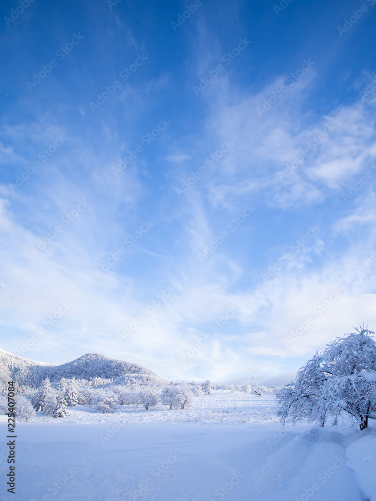 Dreamlike winter wonderland scenic in Tohoku, Japan. Bright blue sky, yet calm wintery day. Majestic, beautiful, truly magical white landscape scenery. Nature's miracle. Christmas season celebration. Dreamlike winter wonderland scenic in Tohoku, Japan. Bright blue sky, yet calm wintery day. Majestic, beautiful, truly magical white landscape scenery. Nature's miracle. Christmas season celebration.