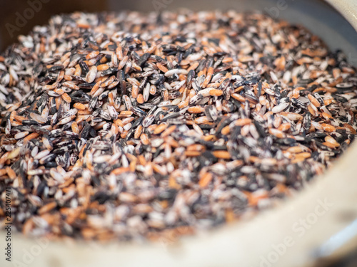 Close up of raw mixed brown  red  black and purple rice grains. Rich in nutrients and is a good source of vitamins  minerals  antioxidant  and high in fiber. Healthy eating and eat well concept.