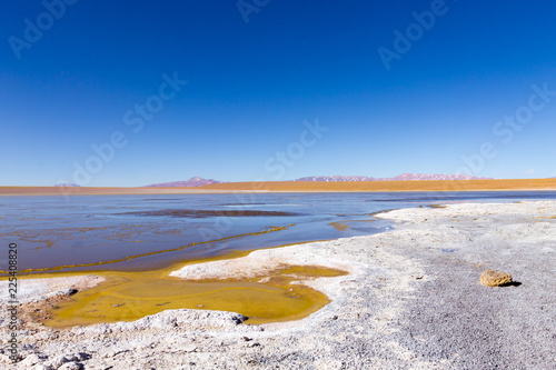 Bolivian lagoon view,Bolivia photo