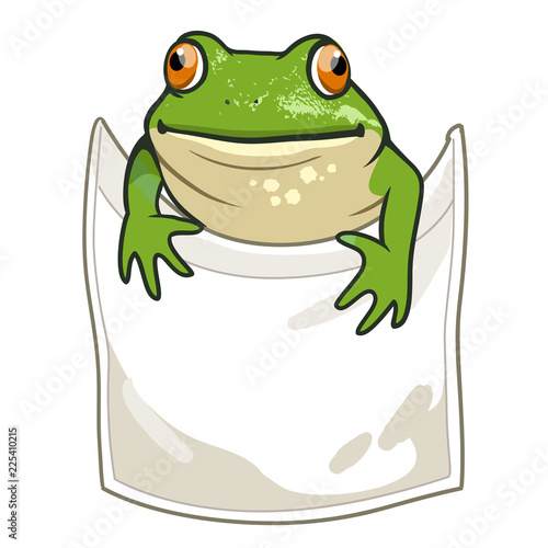 Frog looking out of t-shirt pocket funny humorous vector cartoon illustration. Nature, outdoors, wildlife, amphibian themed design element for clothes.
