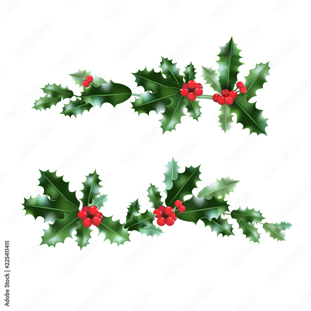 Decor nature holly Decor nature holly