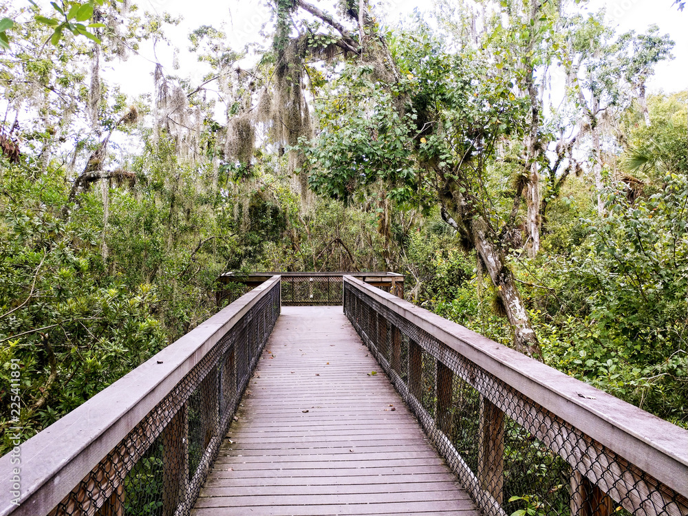 Wooden bridge in park surrounded by green foliage Wooden bridge in park surrounded by green foliage