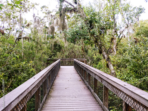 Wooden bridge in park surrounded by green foliage