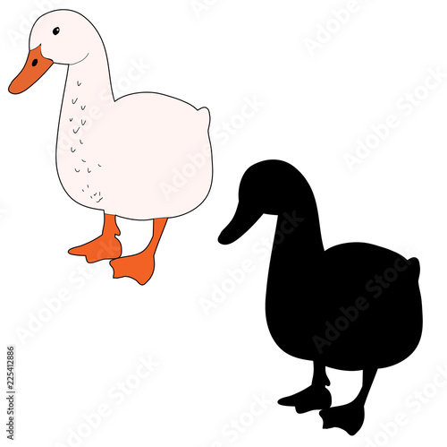 vector, isolated duck, goose