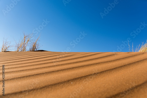 Fototapeta Naklejka Na Ścianę i Meble -  Desert Views