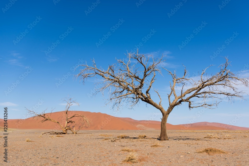 The Various Views of Dune 45 in Namibia