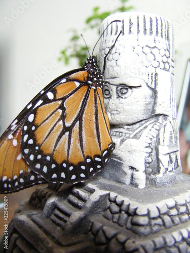 Mariposa
