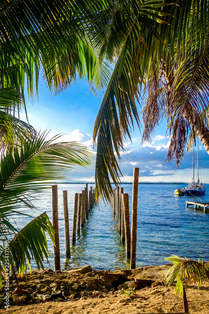 Palm fronds hang in front of the unfinished pier on the tiny Caribbean Island of Tobacco Caye in Belize's barrier reef