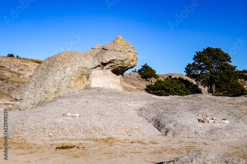 An eroded landform resembling a giant stone frog at the Valley of the Frogs in Creel, near the Copper Canyon in northern Mexico