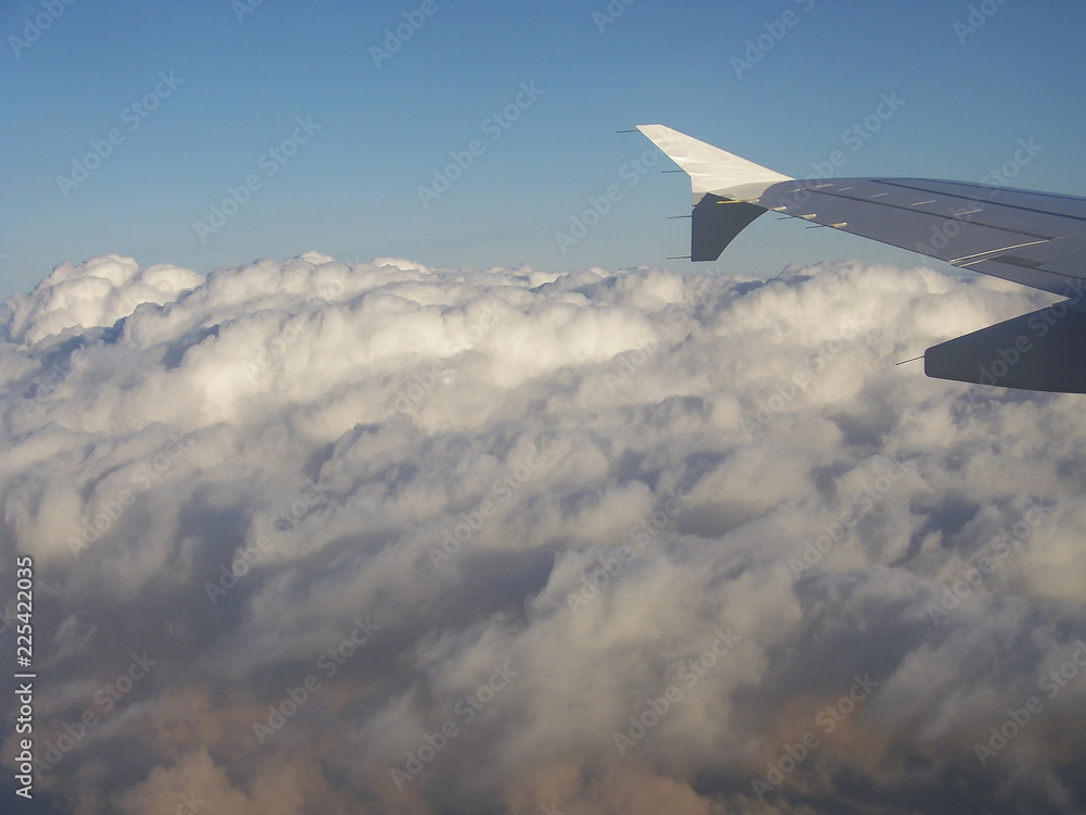 Fototapeta premium View on an airplane wing