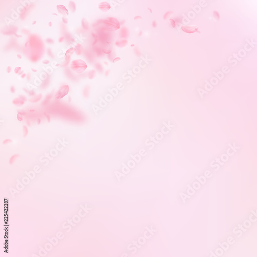 Sakura petals falling down. Romantic pink flowers corner. Flying petals on pink square background. L