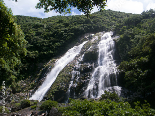 屋久島の滝