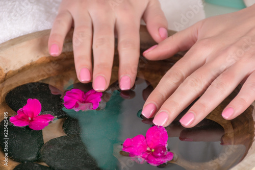Woman hands with gently pink nails gel polish above water with violet flowers and black stone in wooden bowl. Manicure and beauty concept. Close up  selective focus