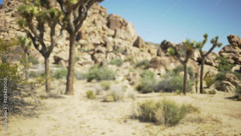 The bottom of a large rocky ridge for green screen or chroma key. Out of focus or defocused shot for compositing or keying. The bottom of a large rocky ridge for green screen or chroma key. Out of focus or defocused shot for compositing or keying.