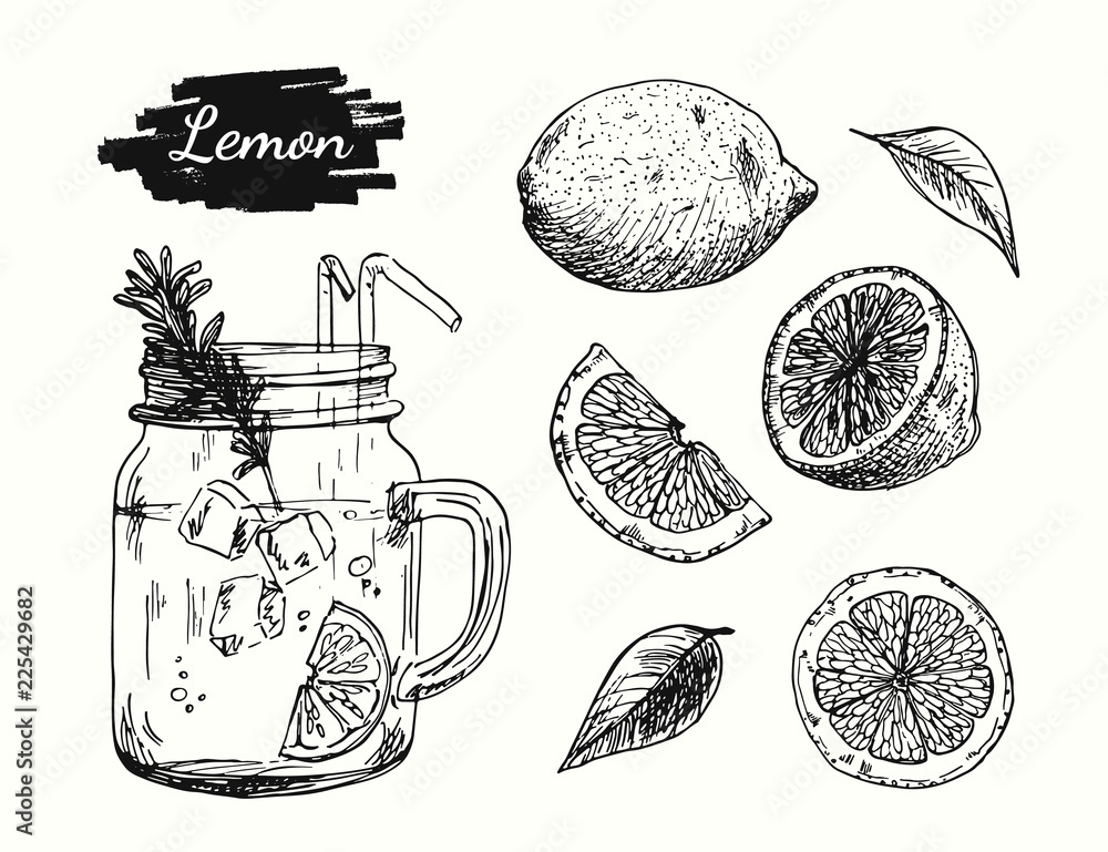 Lemon fruit sketch collection with lemonade bottle. Drawing of lemon