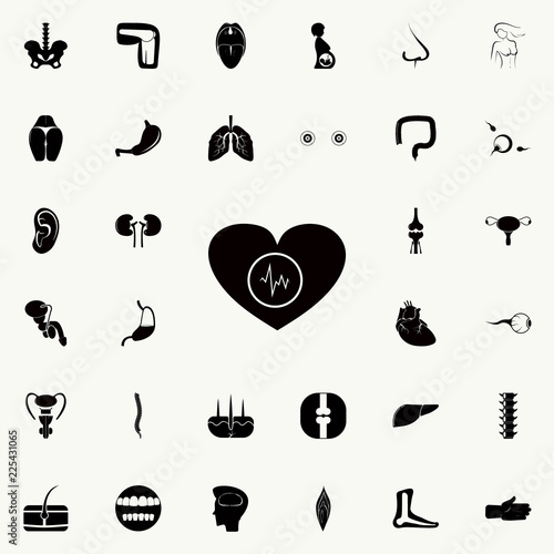 palpitation icon. Human parts icons universal set for web and mobile