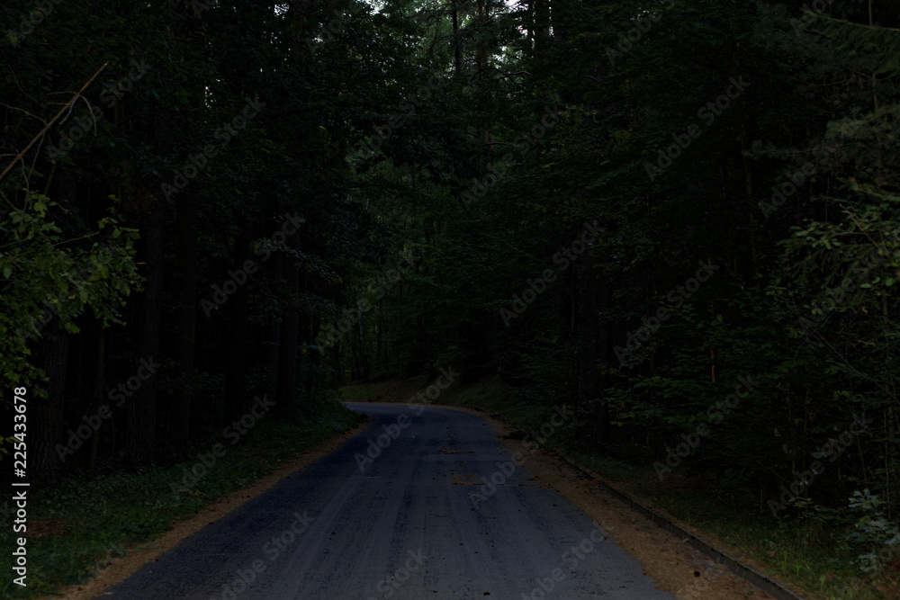 Naklejka premium evening road in the autumn forest