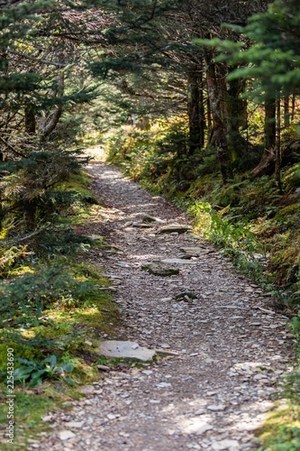 Scenics in the Great Smoky Mountains from Alum Cave trail to Mount Le Conte