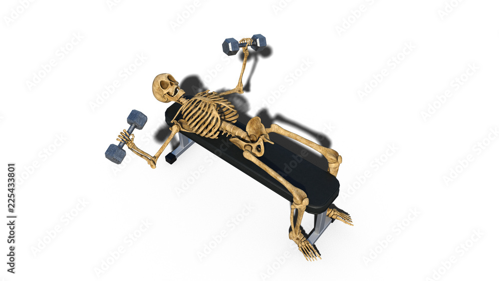 Funny skeleton lifting weights on bench, human skeleton exercising on ...